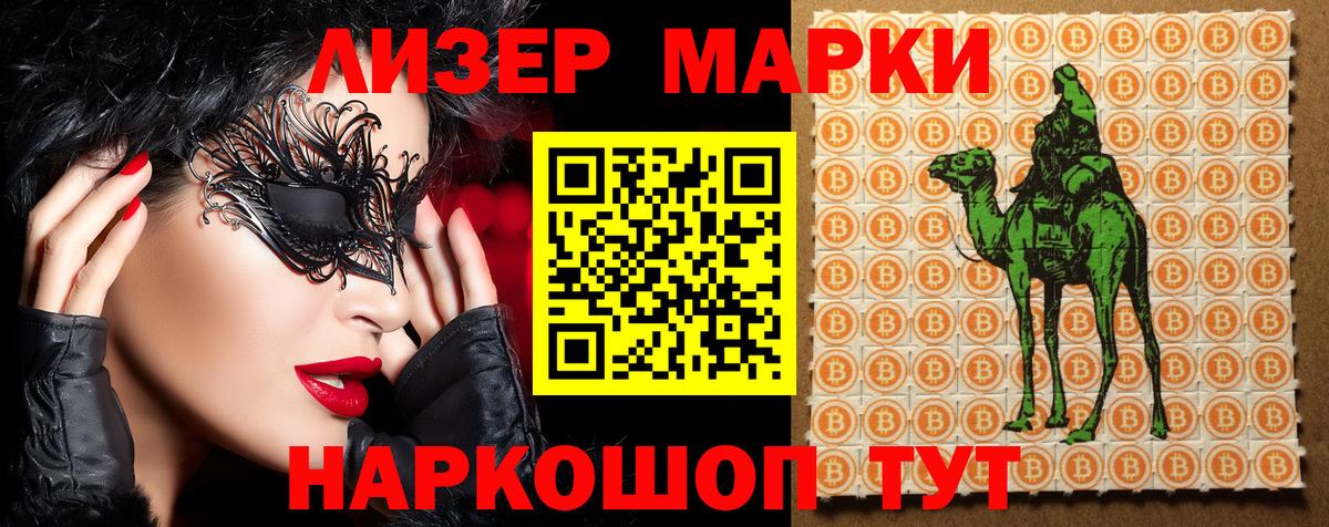 Псилоцибиновые грибы Тамбов