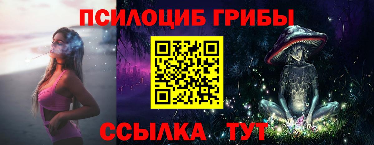 Тамбов  Псилоцибиновые грибы MAGIC MUSHROOMS  Вход с VPN 
